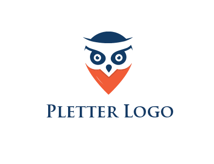 negative spacing owl face