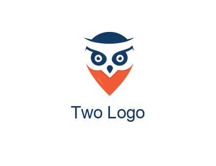 negative spacing owl face
