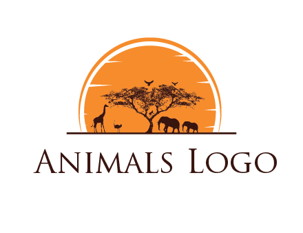 sun behind elephants and giraffe with tree