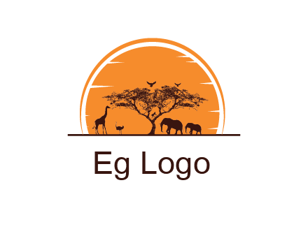 sun behind elephants and giraffe with tree