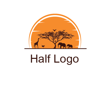 sun behind elephants and giraffe with tree