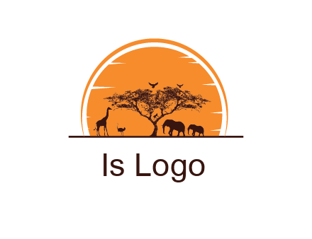 sun behind elephants and giraffe with tree