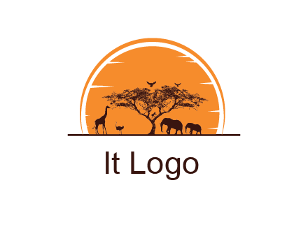 sun behind elephants and giraffe with tree