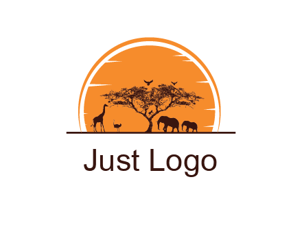 sun behind elephants and giraffe with tree