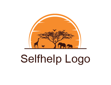sun behind elephants and giraffe with tree