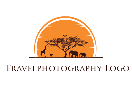 sun behind elephants and giraffe with tree