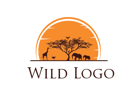 sun behind elephants and giraffe with tree