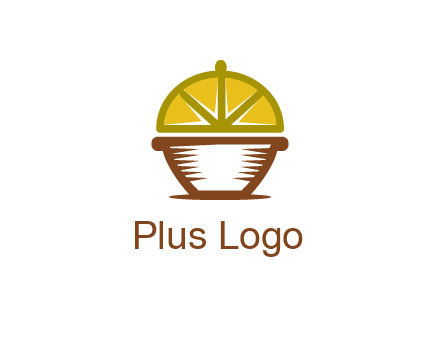 lemon forming lid of pot