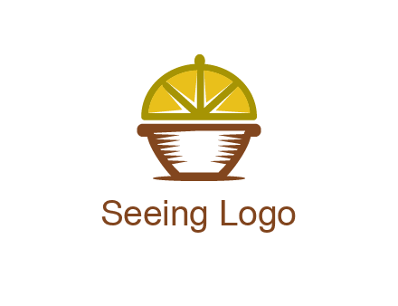 lemon forming lid of pot