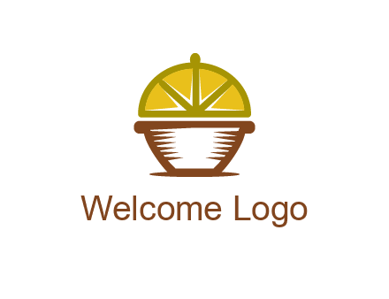 lemon forming lid of pot