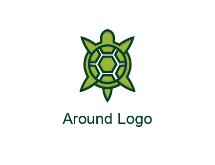 turtle shell looking like compass arrows