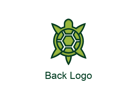 turtle shell looking like compass arrows