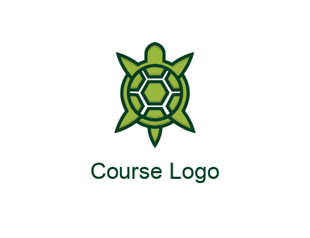 turtle shell looking like compass arrows