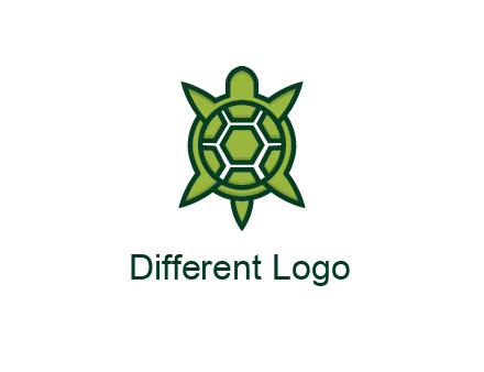 turtle shell looking like compass arrows
