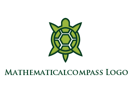 turtle shell looking like compass arrows