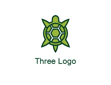 turtle shell looking like compass arrows