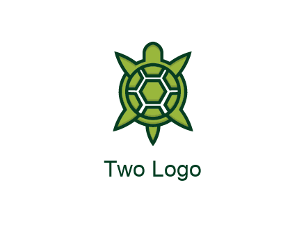 turtle shell looking like compass arrows