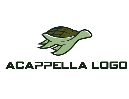 line art abstract turtle