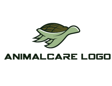 line art abstract turtle