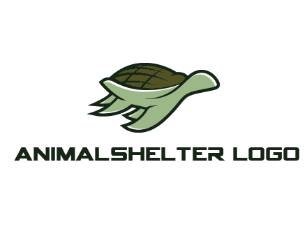 line art abstract turtle
