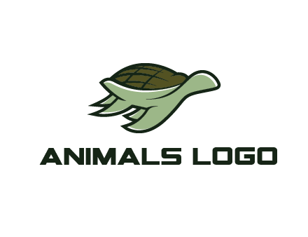 line art abstract turtle