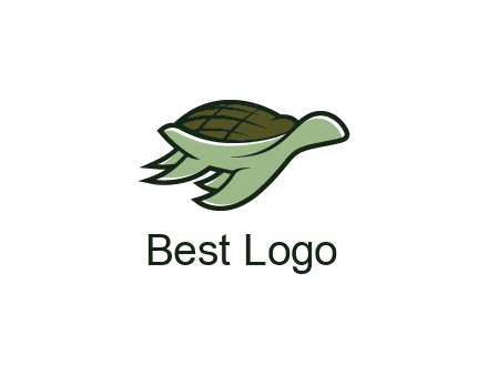 line art abstract turtle