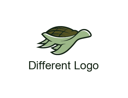 line art abstract turtle