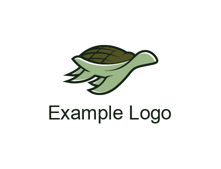 line art abstract turtle