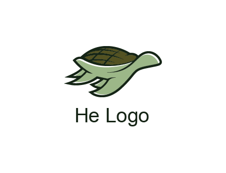 line art abstract turtle