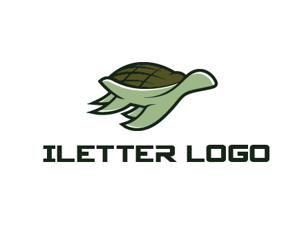 line art abstract turtle