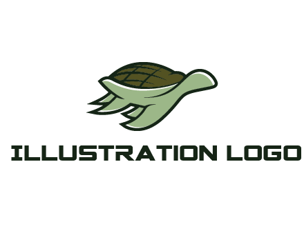 line art abstract turtle