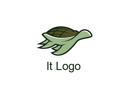 line art abstract turtle