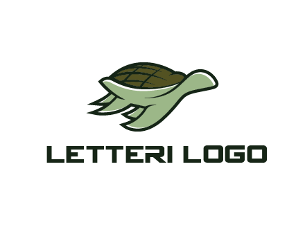line art abstract turtle