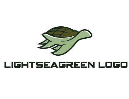line art abstract turtle