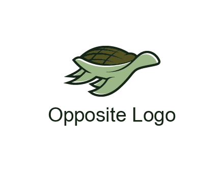 line art abstract turtle