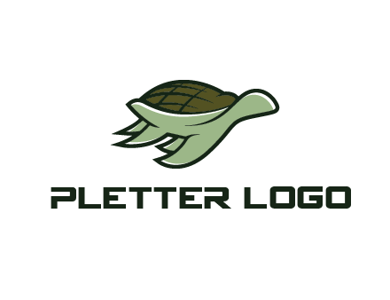 line art abstract turtle