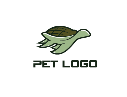 line art abstract turtle