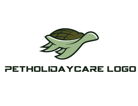line art abstract turtle