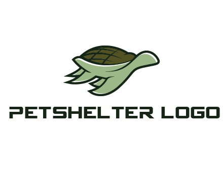 line art abstract turtle