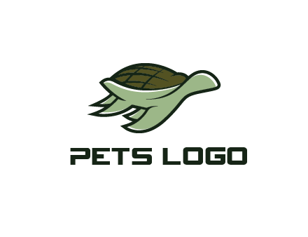 line art abstract turtle
