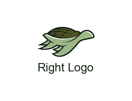 line art abstract turtle