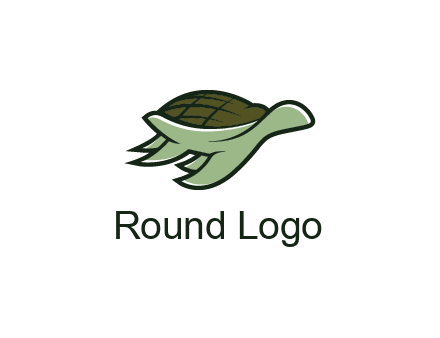 line art abstract turtle