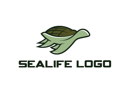 line art abstract turtle