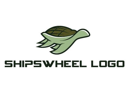 line art abstract turtle