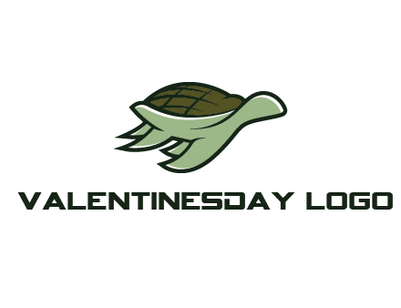 line art abstract turtle