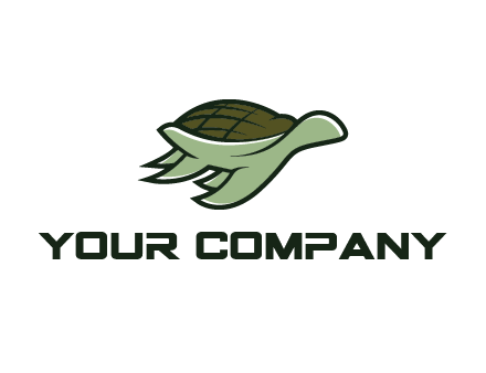 line art abstract turtle