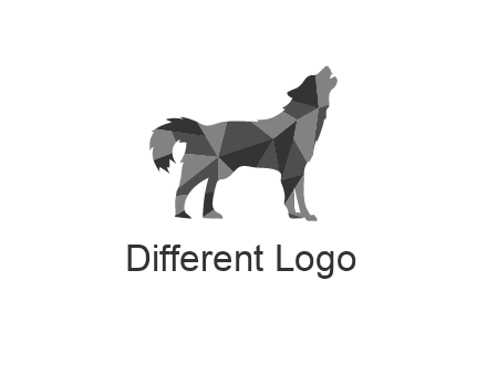 polygonal pattern in wolf