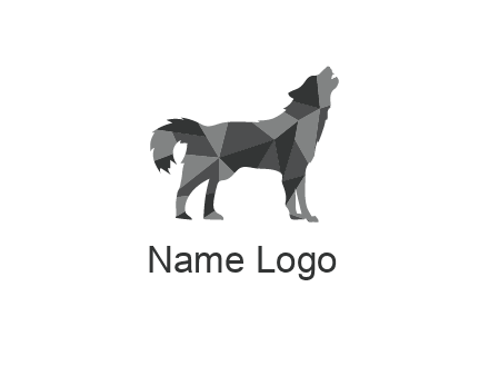 polygonal pattern in wolf