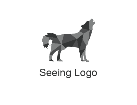 polygonal pattern in wolf