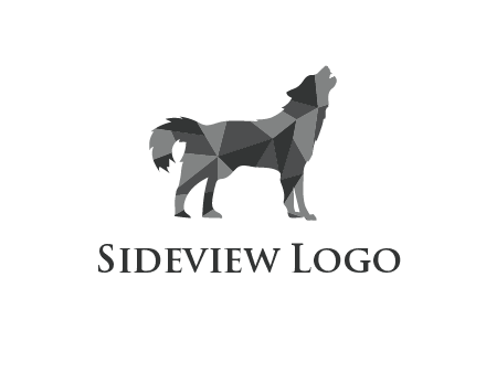 polygonal pattern in wolf